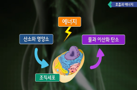 sample image 11