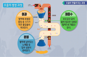 sample image 11