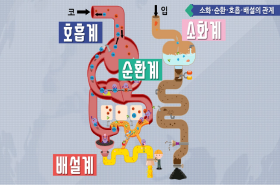 sample image 11