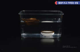sample image 11