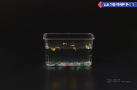 sample image 11