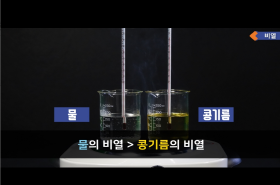 sample image 11