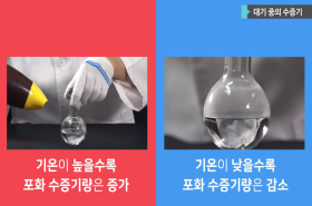 sample image 11