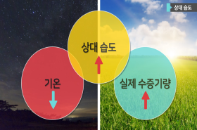 sample image 11