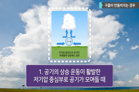 sample image 11