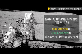sample image 11