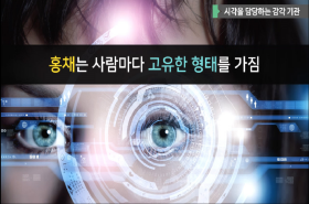 sample image 11