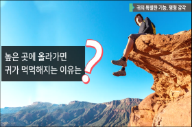 sample image 11