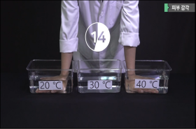 sample image 11