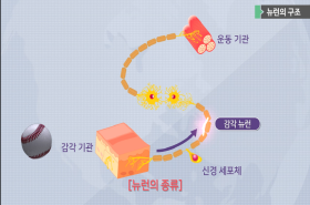 sample image 11