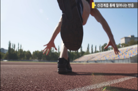 sample image 11