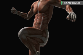 sample image 11