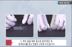 sample image 11