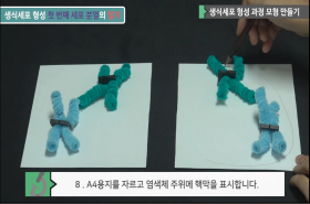 sample image 11