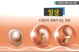 sample image 11