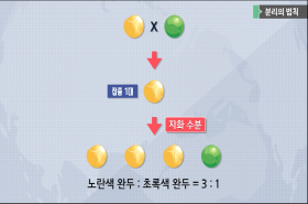 sample image 11