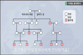 sample image 11