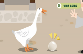 sample image 11