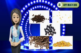 sample image 11