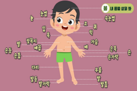 sample image 11