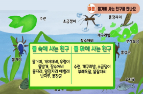 sample image 11