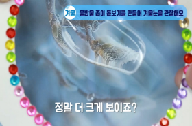 sample image 11