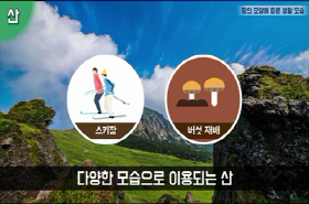 sample image 11