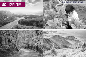 sample image 11