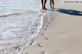 sample image 11