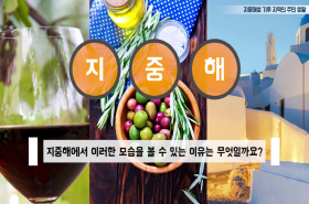 sample image 11