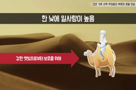 sample image 11