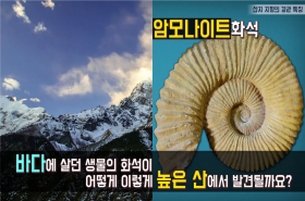 sample image 11