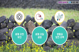 sample image 11