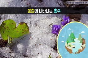 sample image 11
