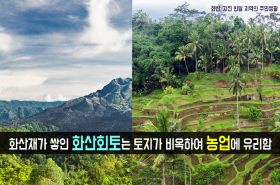 sample image 11