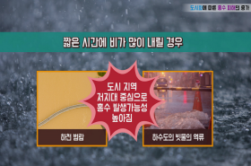 sample image 11