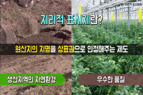 sample image 11